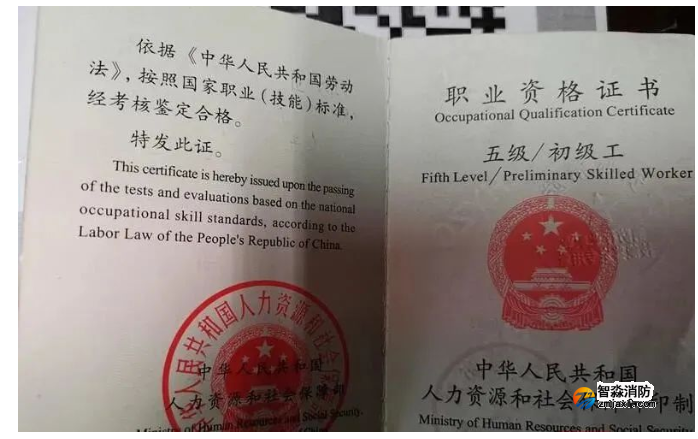 1665042992108116.png image.png